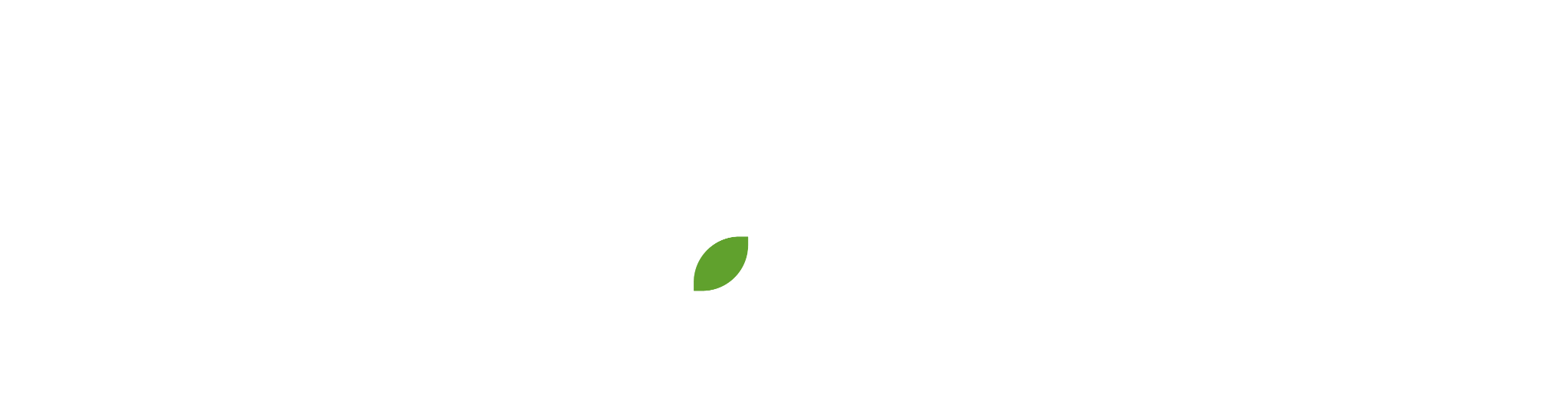 LOCO Agency